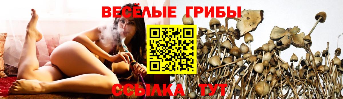 Галлюциногенные грибы Psilocybe  Псилоцибиновые грибы MAGIC MUSHROOMS  Вход с VPN  как найти наркотики  Верхняя Салда 